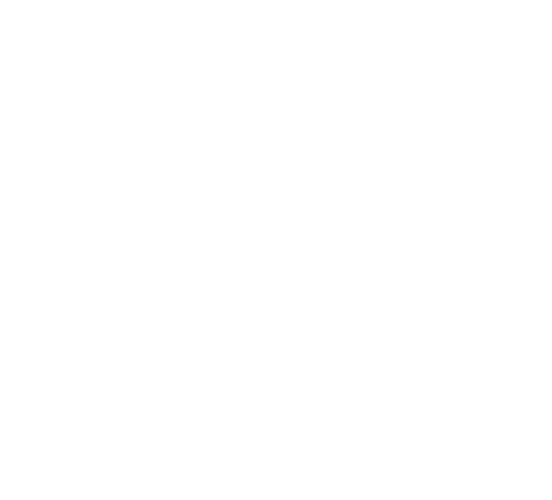 Peter & Sons logo